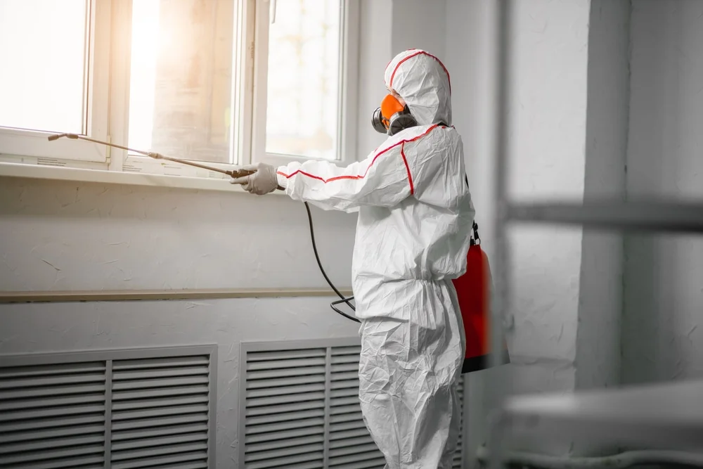 Professional mold remediation services in Upland, CA